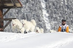 Kandersteg 2013